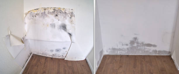 Best 24-hour water damage restoration  in Jamestown, KY
